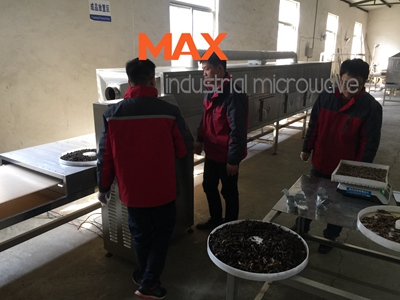 Edible Insects Microwave Drying and Sterilization Machine